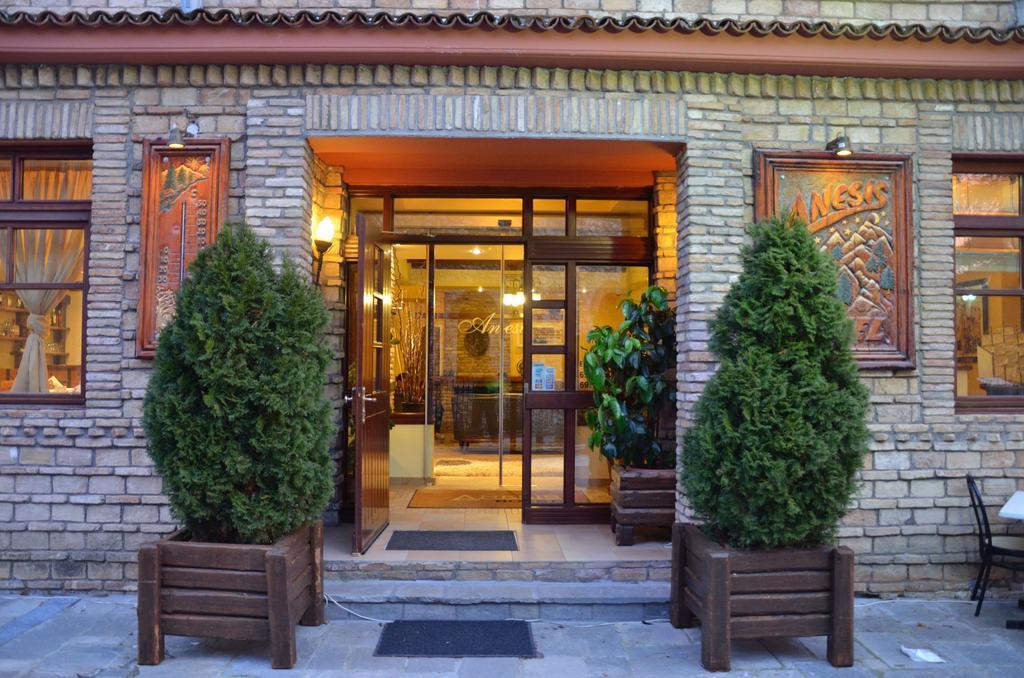 Anesis Hotel Kalavryta Buitenkant foto